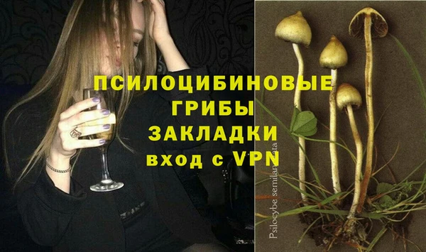 ECSTASY Алзамай