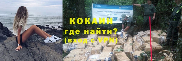 кокс Алексин