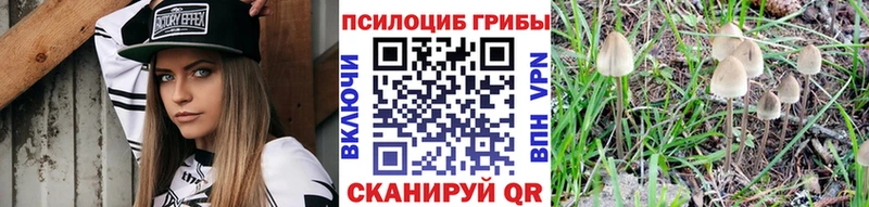 Псилоцибиновые грибы Psilocybine cubensis  даркнет сайт  МЕГА как зайти  Конаково 